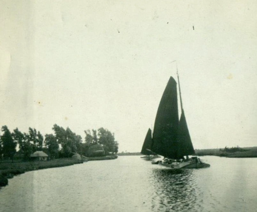 nr L 1342 N in het stamboek